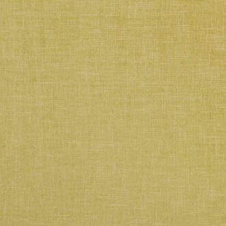 Ткань - Clarke and Clarke - ALBANY - CITRON - F1098/05