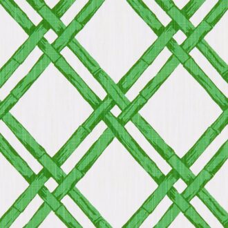 Ткань - Clarke and Clarke - BHUTAN - GREEN - F1287/03