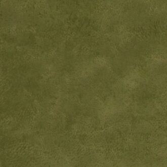 Ткань - Clarke and Clarke - NOLA - OLIVE - F1296/11