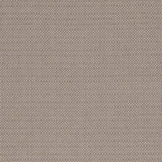 Ткань - Clarke and Clarke - KAUAI - MOCHA - F1299/07