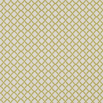 Ткань - Clarke and Clarke - ARIYANA - CHARTREUSE - F1364/03