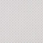 Ткань - Clarke and Clarke - ARIYANA - IVORY - F1364/05