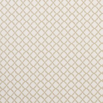 Ткань - Clarke and Clarke - ARIYANA - NATURAL - F1364/07