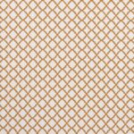 Ткань - Clarke and Clarke - ARIYANA - SPICE - F1364/08