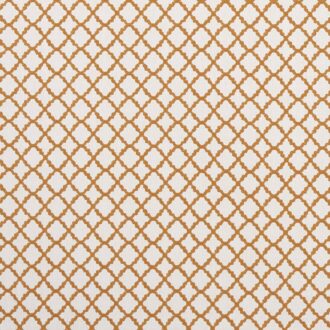 Ткань - Clarke and Clarke - ARIYANA - SPICE - F1364/08