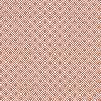 Ткань - Clarke and Clarke - KIKI - SPICE - F1374/07