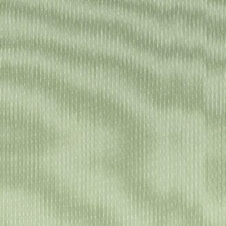 Ткань - Clarke and Clarke - SPENCER - SAGE - F1504/05