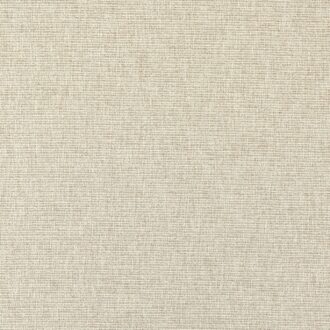 Ткань - Clarke and Clarke - AVANI - LINEN - F1527/05