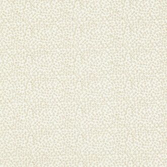 Ткань - Clarke and Clarke - RICAMO - IVORY - F1548/01