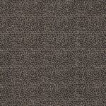 Ткань - Clarke and Clarke - RICAMO - NERO - F1548/03