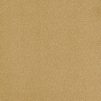 Ткань - Clarke and Clarke - RICAMO - OCHRE - F1548/04