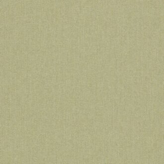 Ткань - Clarke and Clarke - ROWLAND - OLIVE - F1570/08