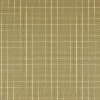 Ткань - Clarke and Clarke - THORNTON - OLIVE - F1571/05