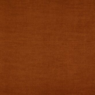 Ткань - Clarke and Clarke - RIVA - AMBER - F1583/01