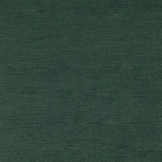 Ткань - Clarke and Clarke - RIVA - GLADE - F1583/12