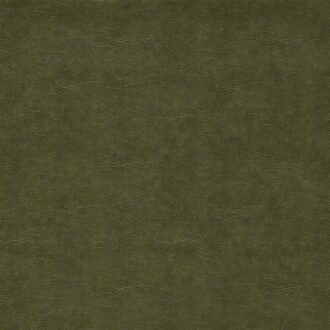 Ткань - Clarke and Clarke - DAWSON - OLIVE - F1598/12