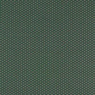 Ткань - Clarke and Clarke - EQUATOR - FOREST - F1618/01
