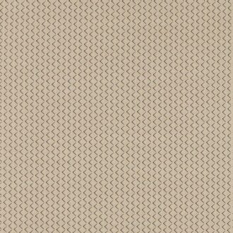 Ткань - Clarke and Clarke - EQUATOR - NATURAL - F1618/03