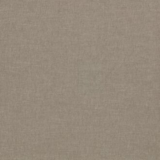 Ткань - Clarke and Clarke - PARADISO - ASH - F1707/01