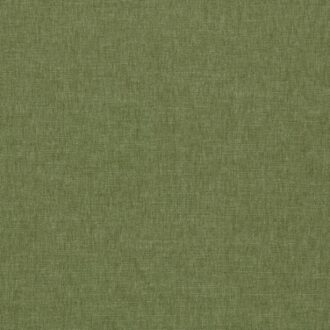 Ткань - Clarke and Clarke - PARADISO - OLIVE - F1707/19