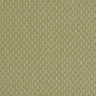 Ткань - Clarke and Clarke - TRELICA - OLIVE - F1724/04
