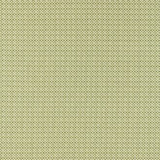 Ткань - Clarke and Clarke - GIVERNY - SAGE - F1735/05