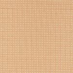 Ткань - Clarke and Clarke - GIVERNY - SPICE - F1735/06