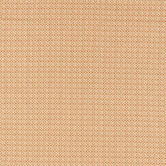 Ткань - Clarke and Clarke - GIVERNY - SPICE - F1735/06