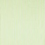 Ткань - Harlequin - RIBBON STRIPE -  Peridot - HSRF133987