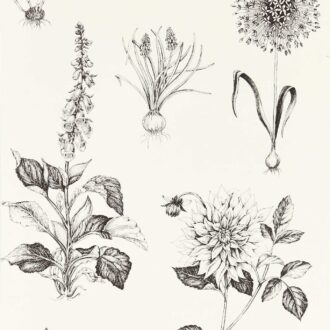 Обои - Clarke and Clarke - ROSERAIE - CHARCOAL - W0197/02