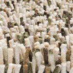 Ковёр Dots Moss 170537 - Brink & Campman - 250 x 350