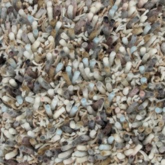 Ковёр Young driftwood - 061805 - Brink & Campman - 140x200