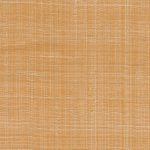 Обои Arte — DIFFUSE — Burnt Orange — 52442