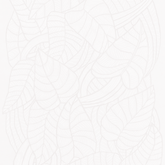 Ковёр Toulemonde Bochart -  Eden Blanc - 200x300