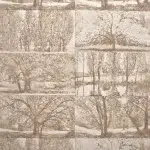 Обои Pierre Frey — Arbres et sous bois — Bouleau FP235001 (коллекция Cappuccino)