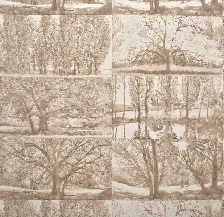 Обои Pierre Frey — Arbres et sous bois — Bouleau FP235001 (коллекция Cappuccino)