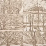 Обои Pierre Frey - Arbres et sous bois - Bouleau FP235001 (коллекция Cappuccino)