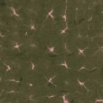 Обои Coordonne - Kanoko Moss B00908 (коллекция 
Shibori)