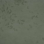 Обои Coordonne - Leaves reflection Green A00940 (коллекция Central Saint Martins – Rest Time)
