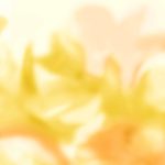 Обои Coordonne - Maravillas Golden C00144 (коллекция Coco Davez Colortherapills)