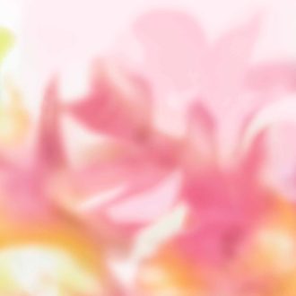Обои Coordonne - Maravillas Pink C00143 (коллекция Coco Davez Colortherapills)