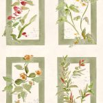 Обои Coordonne - Sta Cruz Celadon YSP0631 (коллекция Sevilla, Ybarra & Serret for Coordonne)