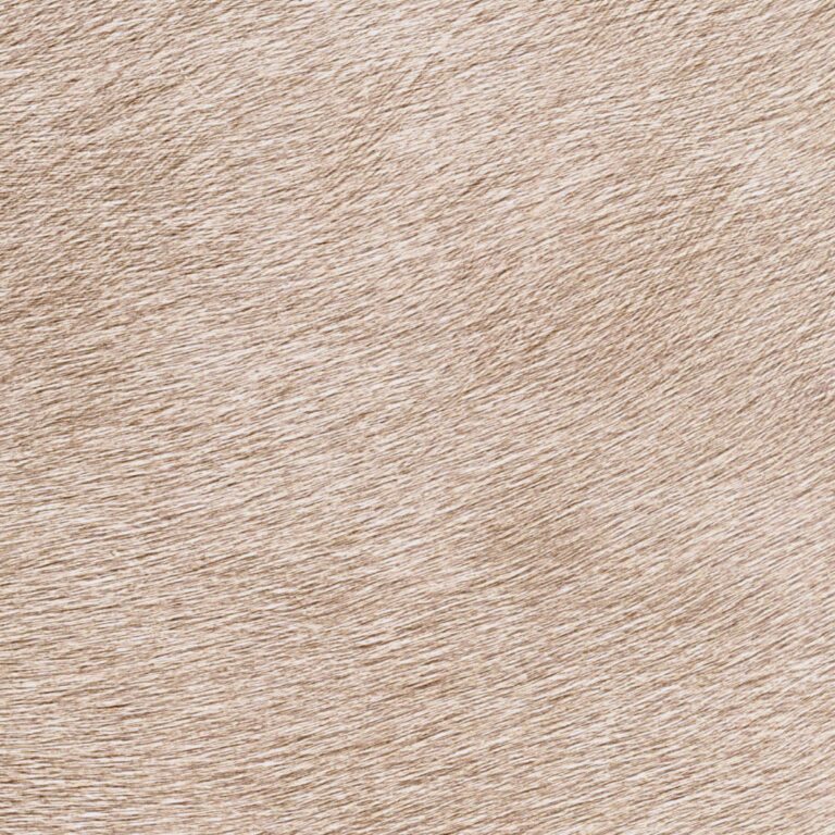 Обои Elitis - Movida VP 625 40 (Коллекция Indomptee )