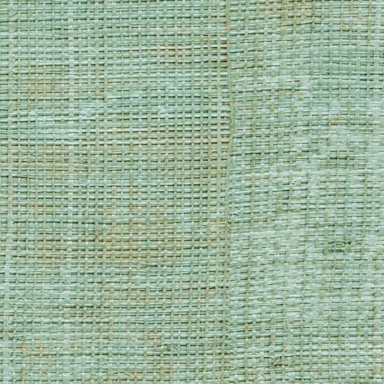 Обои Elitis - Raffia VP 601 42 (Коллекция Raffia & Madagascar )