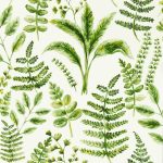 Обои — Clarke and Clarke — BRACKEN — FOREST — W0156/02
