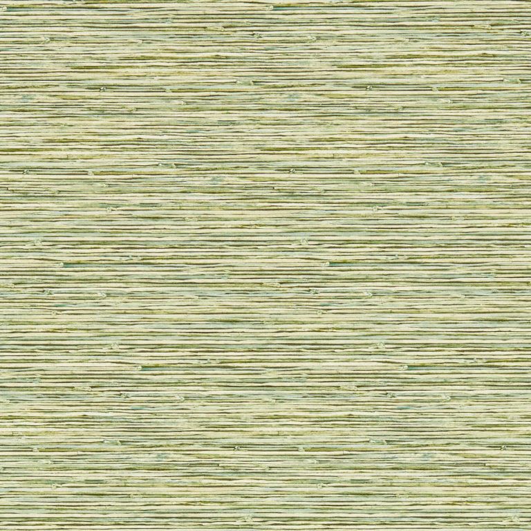 Обои - Clarke and Clarke - XAN - PALM - W0192/04