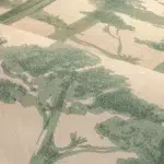 Обои Casamance — Ame Sable / Eucalyptus 70040610 (Коллекция Legendes)
