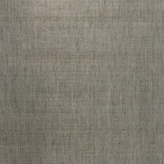 Обои Casamance - Abaca Argent 71801003 (Коллекция Odeon)
