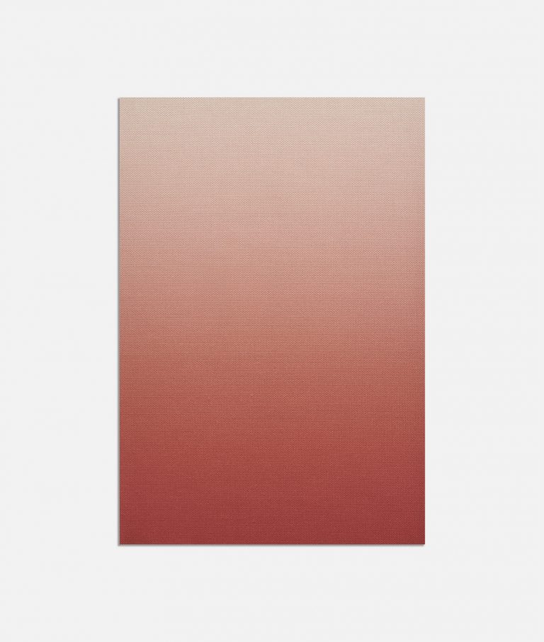 Ткань - Dedar - Oxford Horizon - 003 : 003 rosso corallo