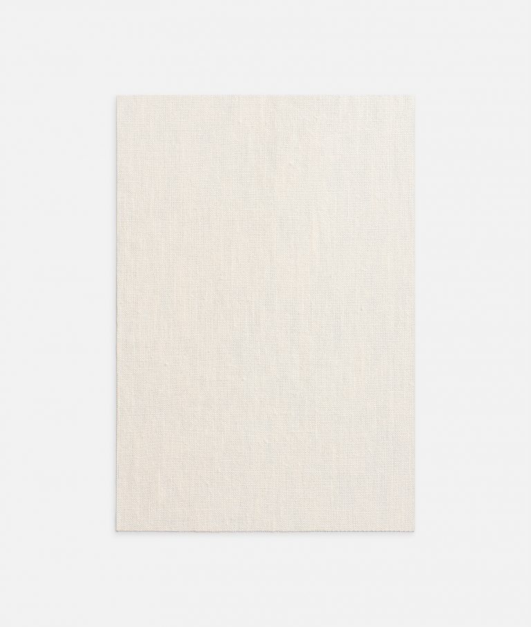 Ткань - Dedar - Wide Tussah Canvas - 001 avorio